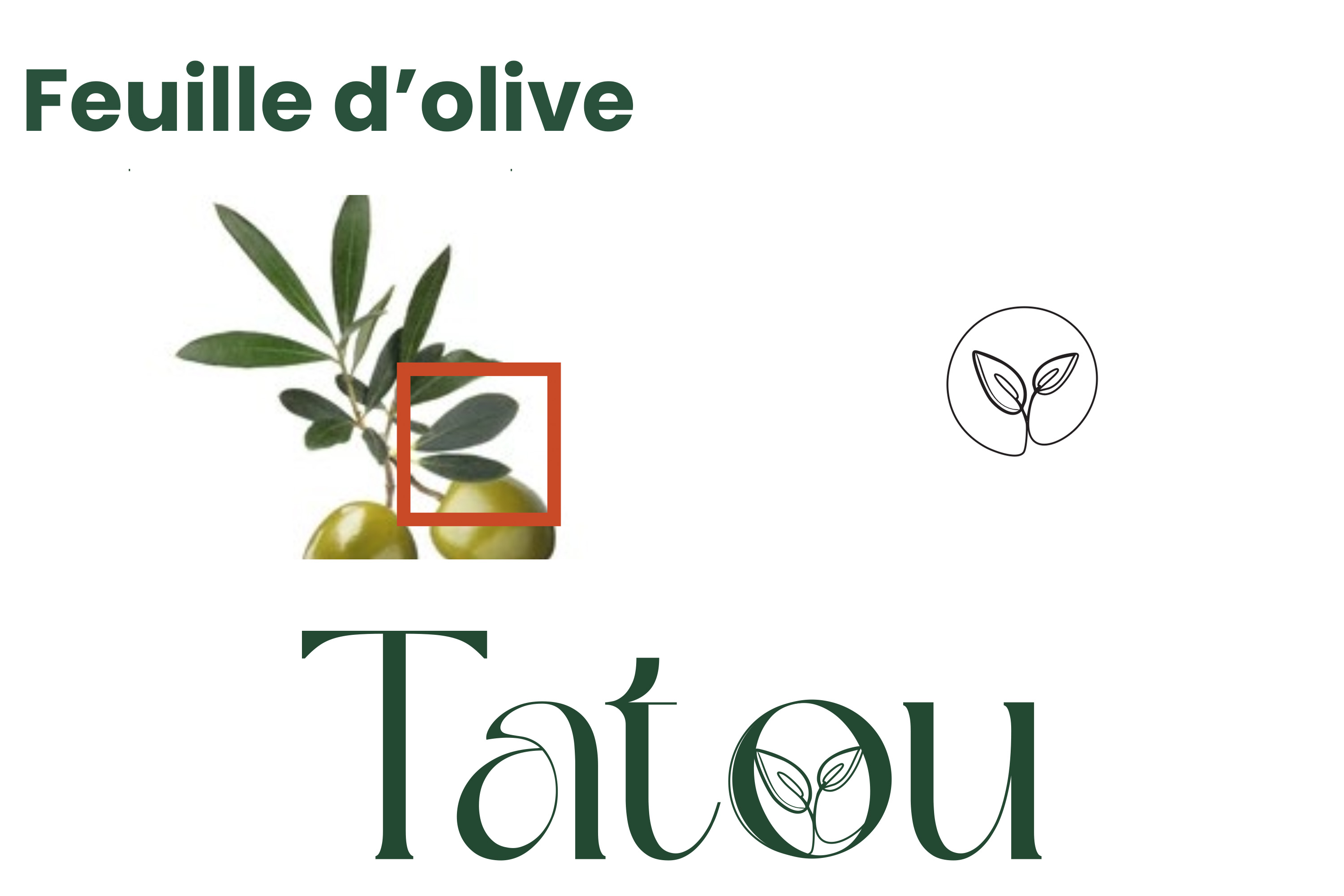 Projet 1